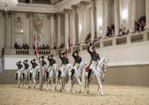 Vorführungen der Lipizzaner